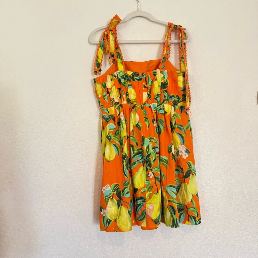 NWT FARM Rio Chic Pears Belted Mini Dress - Picture 9 of 13